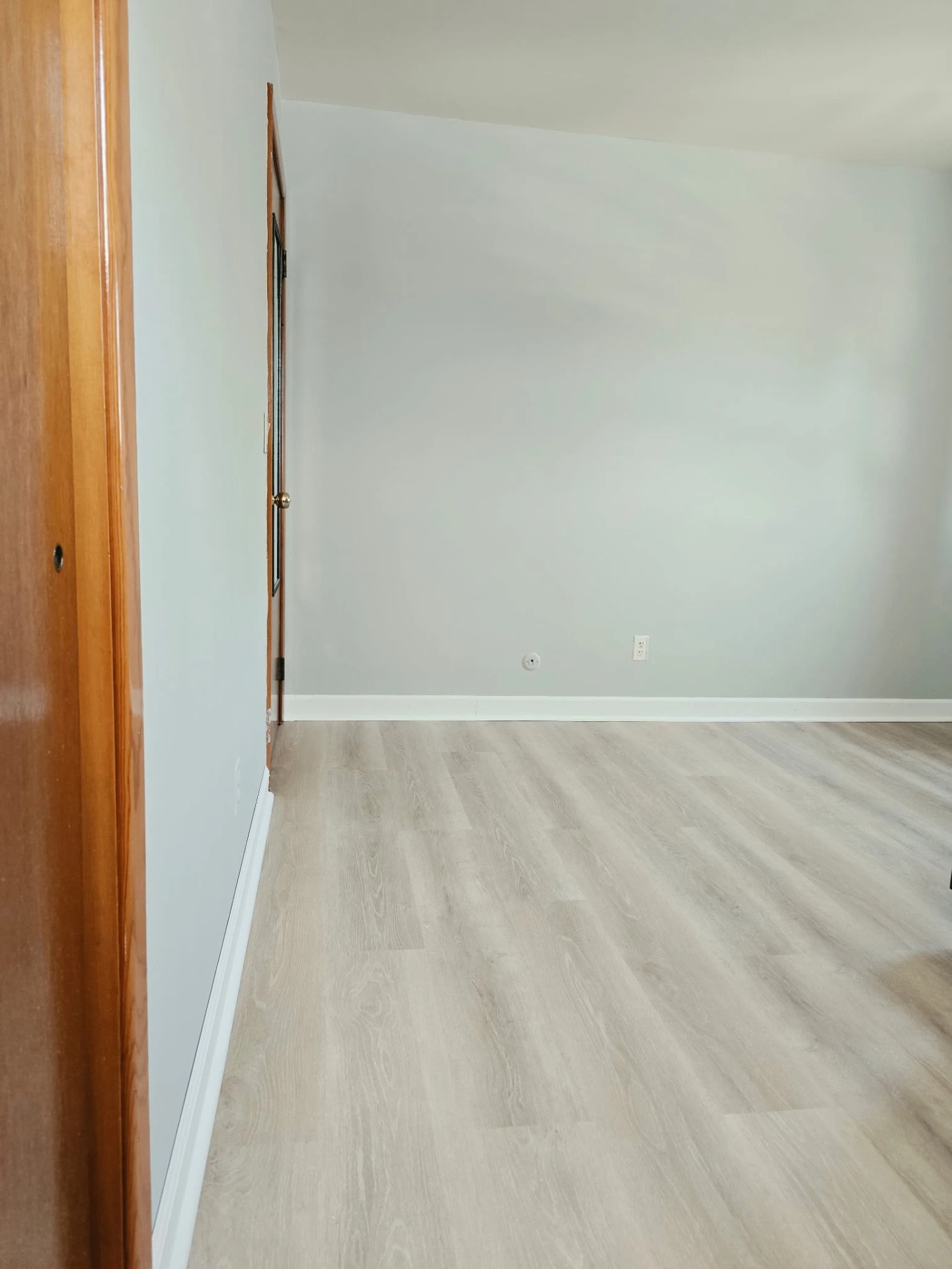 Finished room with light grey walls and wood-look flooring